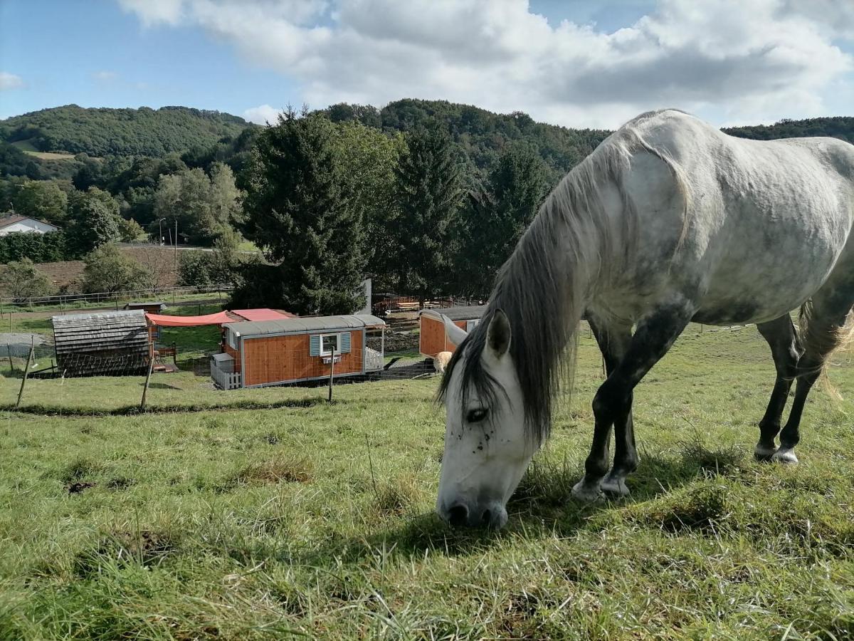 Zuruck Zur Natur - Urlaub Im Zirkuswagen, Sommeratelier Oder Schindelwagen Adenbach Exteriér fotografie