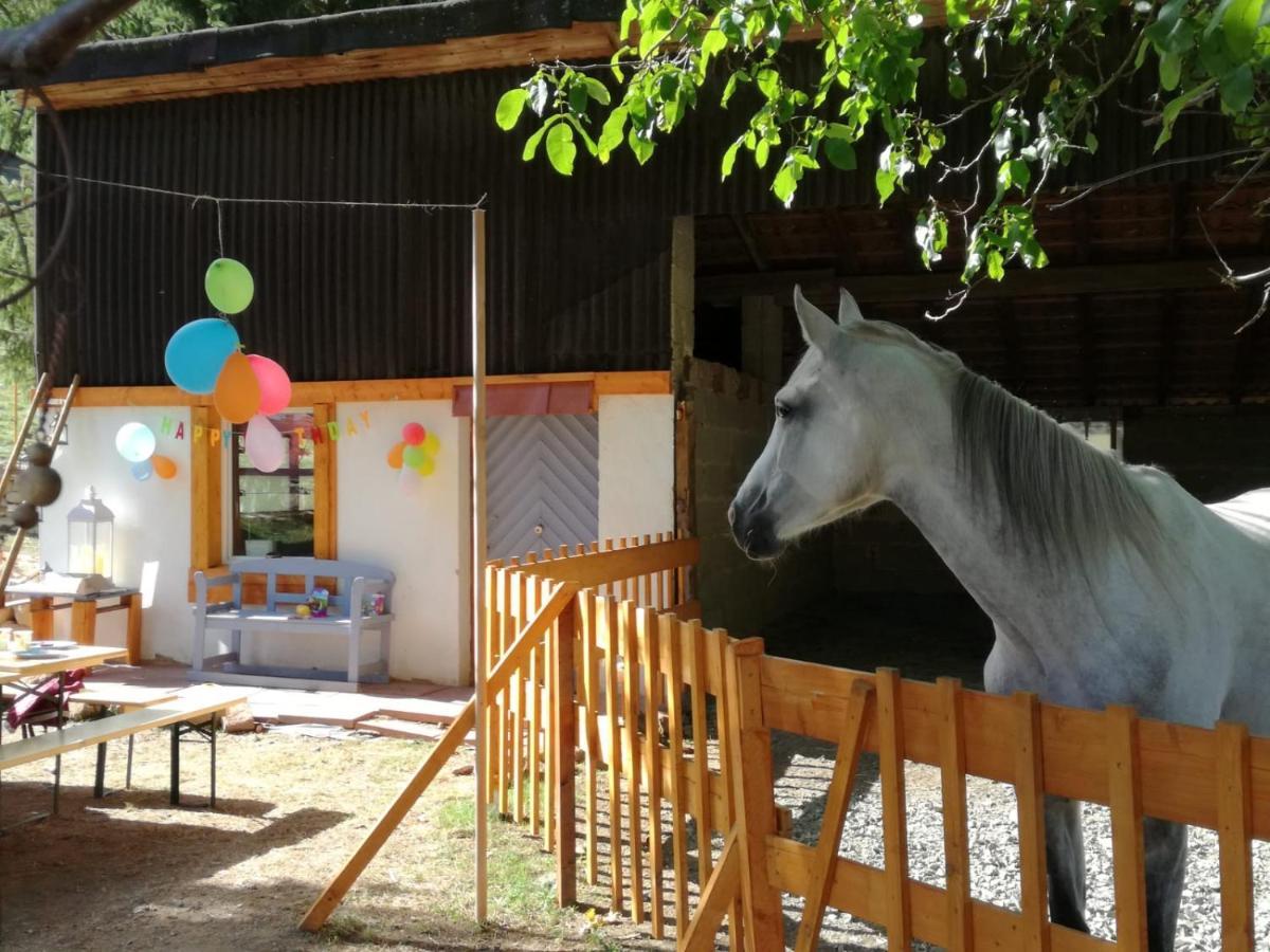 Zuruck Zur Natur - Urlaub Im Zirkuswagen, Sommeratelier Oder Schindelwagen Adenbach Exteriér fotografie