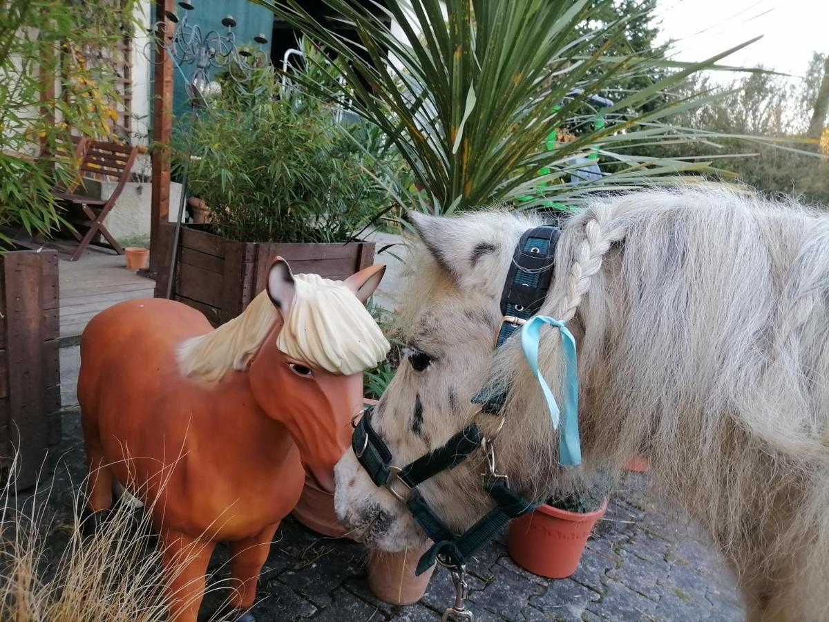 Zuruck Zur Natur - Urlaub Im Zirkuswagen, Sommeratelier Oder Schindelwagen Adenbach Exteriér fotografie