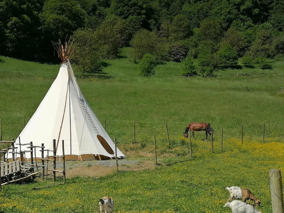 Zuruck Zur Natur - Urlaub Im Zirkuswagen, Sommeratelier Oder Schindelwagen Adenbach Exteriér fotografie