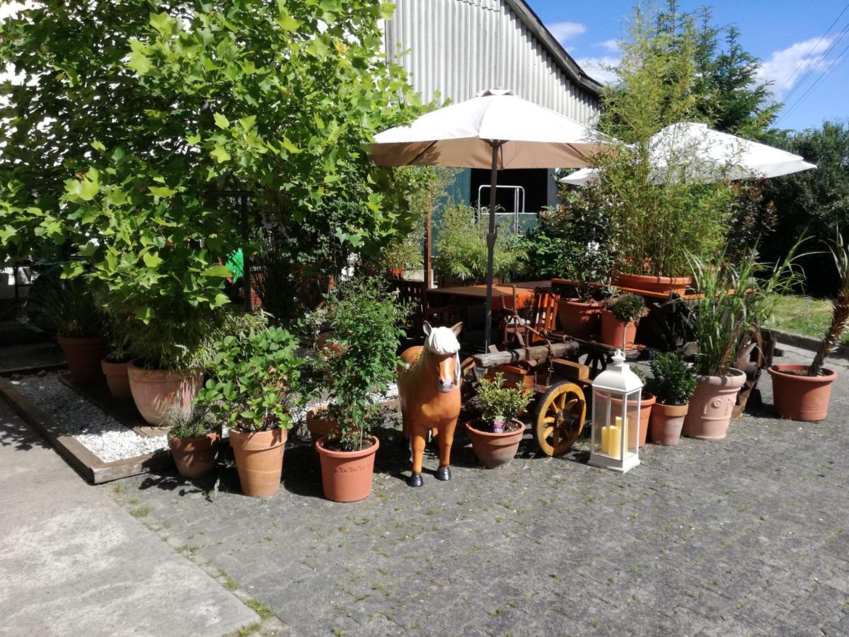 Zuruck Zur Natur - Urlaub Im Zirkuswagen, Sommeratelier Oder Schindelwagen Adenbach Exteriér fotografie